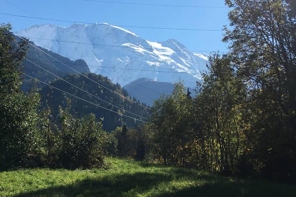 Appartement Lumineux Et Cosy En Rez De Jardin Saint-Gervais-les-Bains Zewnętrze zdjęcie